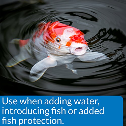 1 API+STRESS+Conditioner+32+Ounce+Bottle