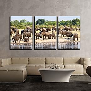 3 Piece Canvas Wall Art - a Herd of African Elephants Drinking at a Muddy Waterhole, Hwange National Park, Zimbabwe - Modern Home Art Stretched and Framed Ready to Hang - 16"x24"x3 Panels