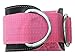 Contraband Pink Label 3027 3inch Double Ring Pro Ankle Cuff - Perfect Ankle Strap for Glute Kickbacks on Cable Machines - Adjustable Heavy Duty Nylon Strap & Metal D-Rings - for Men & Women (Single)