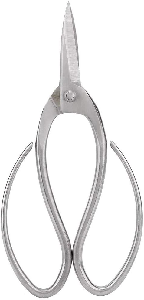 7.6 inch Stainless Steel Pruning Scissors, Garden Shears for Gardening Flower Arrangement