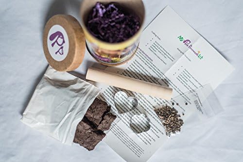 Pet Perennials Memorial Wildflower Garden DIY Kit Creates Seed Wafers Pet Loss Gift