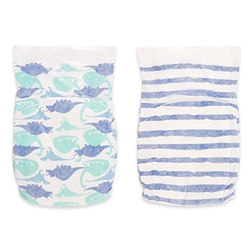 aden and anais dinosaur