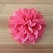Winrase Set of 16 Handmade Chiffon Flowers Without Clip for Kids Headdress