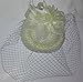 Fascinators Hair Clip Headband Pillbox Hat Bowler Feather Flower Veil Wedding Party Hat, Beige, One Size