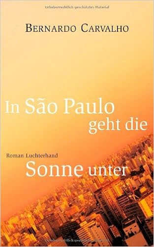 In Sa O Paulo Geht Die Sonne Unter Roman Bernardo Carvalho