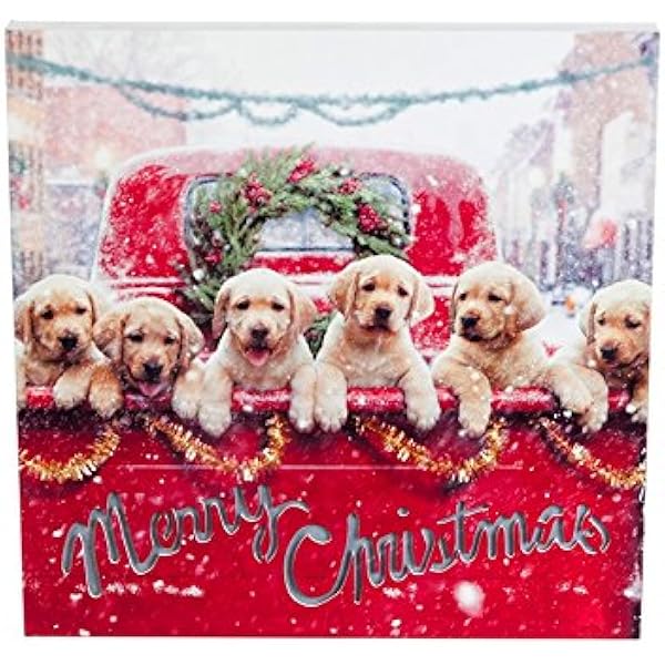 labrador puppy christmas