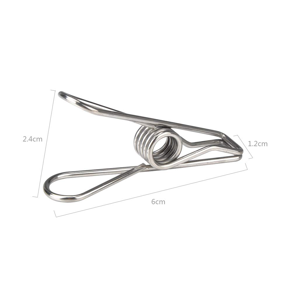 Imagine 10pcs 6cm Stainless Steel Clips Spring Clips Small Clips Clothespins Laundry Pegs for Folders,Underwear,Socks,Quilts,Clothes,Pants,Shirts