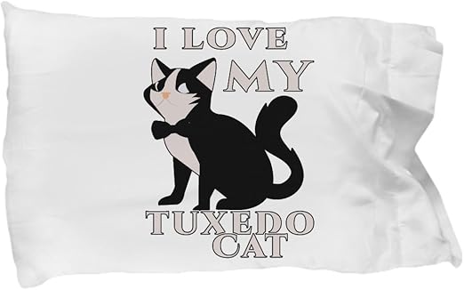 merle american bully