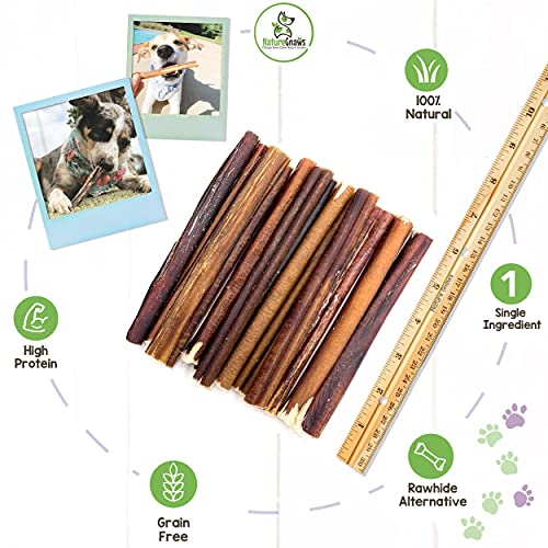 Nature Gnaws Bully Sticks for Large Dogs Premium Natural Beef Dental