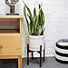 TIMEYARD Mid Century Plant Stand - Best Fits 8in Planter, Wood Indoor Flower Pot Holder, Simple Display Potted Rack, Modern Home Decor (NOTE: Plant pot and plant are not included)