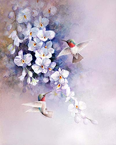 Hummingbird Painted In Watercolor Rainbow By Olga Shvartsur
