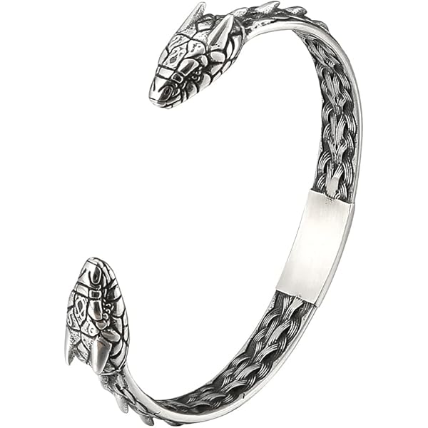 BBTO Arm Rings Viking Bracelet For Men Double Dragon Head Adjustable Norse Viking Bracelet Cuff Bangle Dragon Head Twisted Bangle Cool Polished Pagan