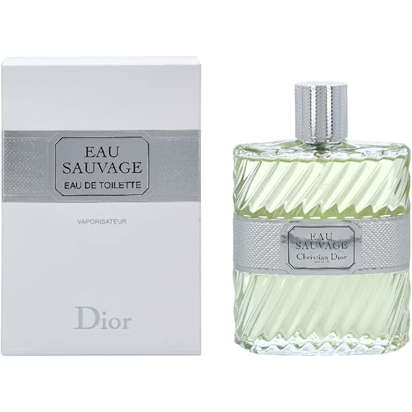 Amazon.com : Sauvage/Christian Dior EDT Spray