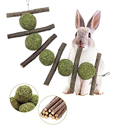 The Best Bunny Supplies Dogtime