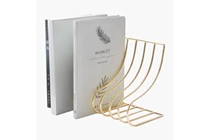 JIARI Decorative Book Organizer Magazine Holder, Desktop File Sorter Organizer Bookshelf Bookends Book End, Metal Bookend 9 Section (Gold)
