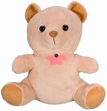 Teddy Bear Hidden Camera 