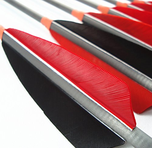 image for MS Jumpper Archery Carbon Arrows, High Percentage Carbon-Fiber Arrow S