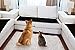 High Tech Pet Sofa Scram Sonic Pad Pet Deterrent, 3-Pack