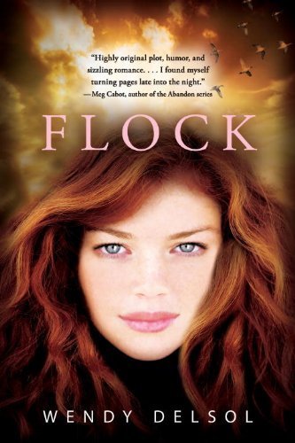 Flock (Stork Trilogy) by Wendy Delsol (2013-10-08)