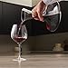 Wine Enthusiast Lead-Free Crystal Vivid Wine Decanter & Aerating Funnel Set (4 Piece)