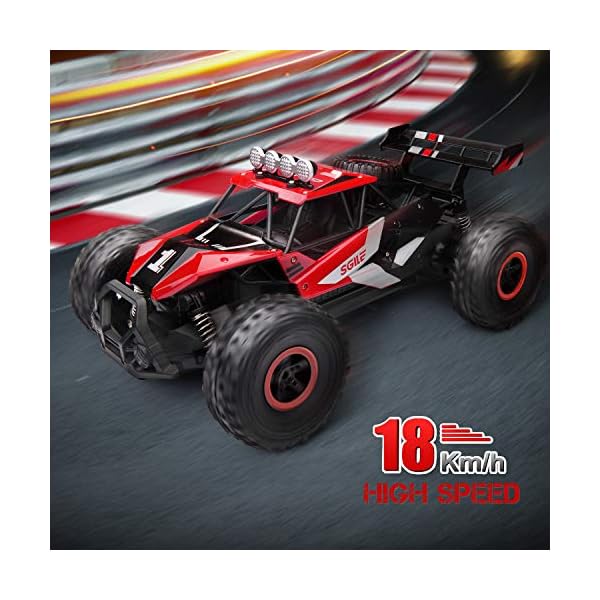 sgile remote control car