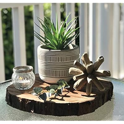 Kurrajong Farmhouse 8" x 4.5" Artificial Plant in Pot | Beautiful Faux Plant for Bedroom Decor | Fake Plant for Shelf Decor | Realistic Faux Succulent for Desk Decor | Artificial Succulent Plant 51pEwOlEGvL