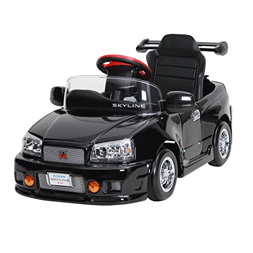 Mizutani Electric Skyline GTR R34 (Japan Import) Buy Online in UAE