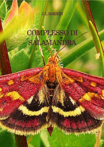 J.L. Barzon - Complesso di Salamandra (2016)