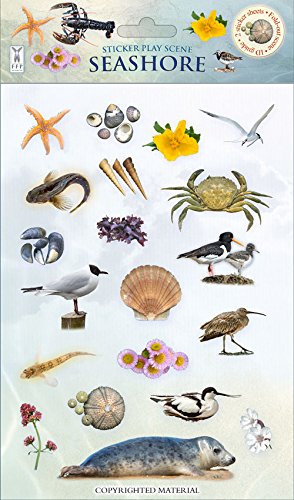 Sticker Play Scene: Seashore