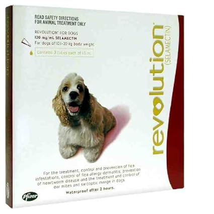 revolution for dogs amazon