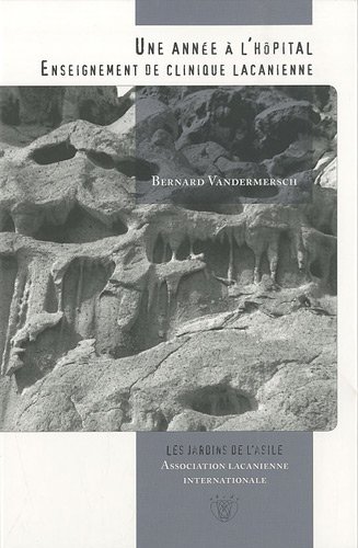 Une  année à l'hôpital, 2006-2007