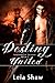 Destiny United (Shadows of Destiny Book 2)