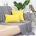 sykting Decorative Pillow Covers Solid Super Soft Short Plush Fuzzy Throw Pillow Covers for Bed Couch Chair Pack of 2 Square 18x18 inch Yellow