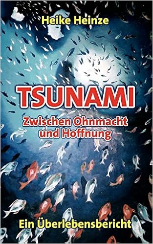 Tsunami Zwischen Ohnmacht Und Hoffnung Ein Uberlebensbericht Amazon De Heinze Heike Bucher