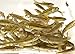 Toledo Goldfish Live Black Fathead Minnows – Live Tuffies or Crappie Minnows – USA Born and Raised – Live Arrival Guarantee (Small, 1000 Fish)thumb 3