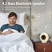 Wake-Up Light Sunrise Alarm Clock Radio with Sunrise Sunset Simulation, Dual Alarm, 4.2 Bluetooth Speaker, 3 Natural Sounds, AM/FM Radio, Snooze Function and Bedside Lamp