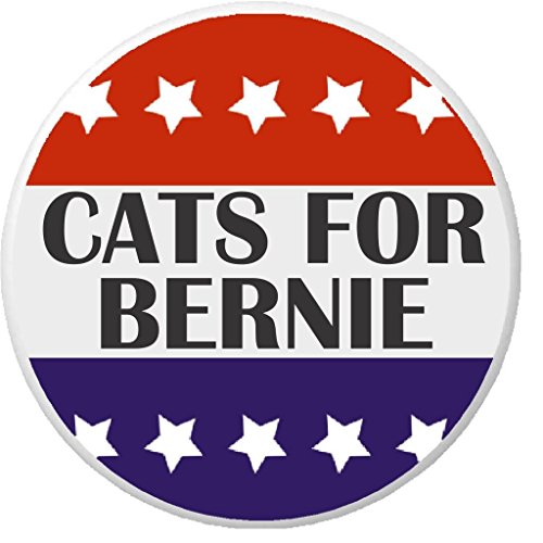 Cats for Bernie