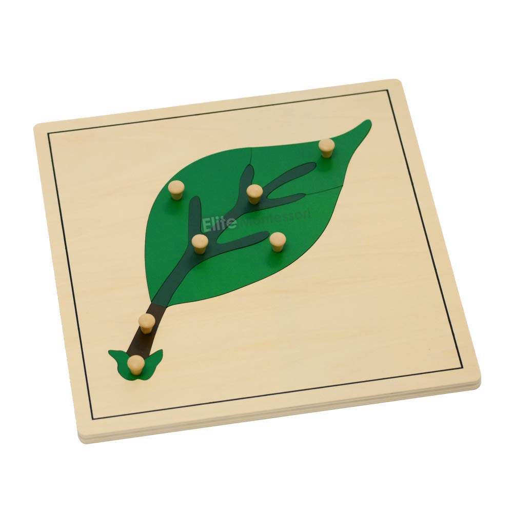Photo 1 of ** MISSING LEAF **Elite Montessori Leaf Puzzles Toy for Preschool Early Child Development Learning Material