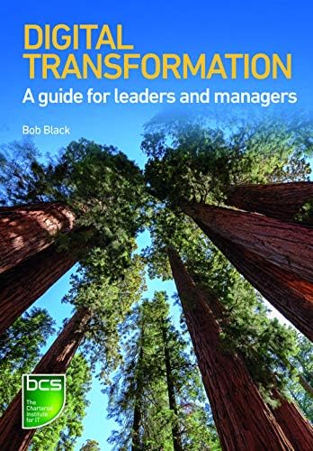 Digital Transformation: A guide for leaders and managers Paperback – 31 Aug. 2019