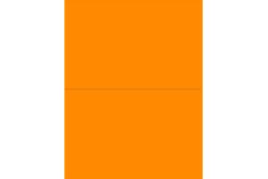 NEXTDAYLABELS 8-1/2 x 11" Neon Color High Light Fluorescent Labels for Laser & Inkjet Printer (Orange Fluorescent, 8-1/2" x 5-1/2" - 2 Per Page | 200 Labels)
