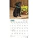 Black Labrador Retriever Puppies 2017 Wall Calendar