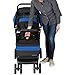 Cosco Simple Fold Stroller, Sapphire Sea