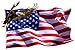 American Flag Soaring Eagle V2 Large Decal 12