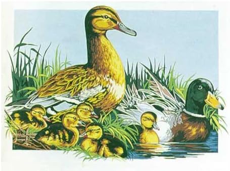 DUCK FAMILY, LES CANARDS NEEDLEPOINT CANVAS