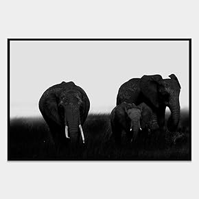 SIGNWIN Framed Canvas Wall Art Wild Animals Canvas...