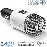 TwinkleBirds Car Air Purifier Ionizer - 12V Plug-in Ionic Anti-Microbial Car Deodorizer with Dual USB Charger - Smoke Smell, Pet and Food Odors, Allergens, Viruses Eliminator for Car (Matte White)