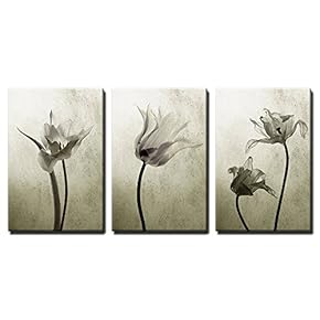 Abstract Transparent Tulips in Back Light x3 Panels