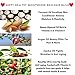 Full Body Oil Moisturizing Oil For Normal to Dry Skin Face Hair Cuticle Scalp Nails. Essential Oils, Coconut, Argan, Jojoba, Sweet Almond Oils, Organic Rose Hip Seed, Quick Dry Oil for Women & Men 4oz