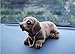 Handmade car Ornaments Childhood Memory BobbleHead Dogs Mascot Rocking Head While Disturbance,Made by Natura Resin 8.5 Ounce Large Durable with Video(Dachshund)