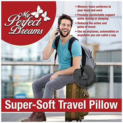 neck support while travelling